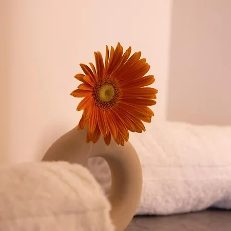 Lieblingsquartier - 3 Sankt Andreasberg